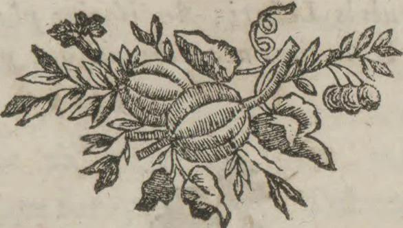 An illustration from La magie blanche dévoilée, ou, Explication des tours surprennants, qui font depuis peu l'admiration de la capitale et de la province : avec des réflexions sur la baguette divinatoire, les automates joueurs d'échecs, &c. &c, 1784, leaf 23
