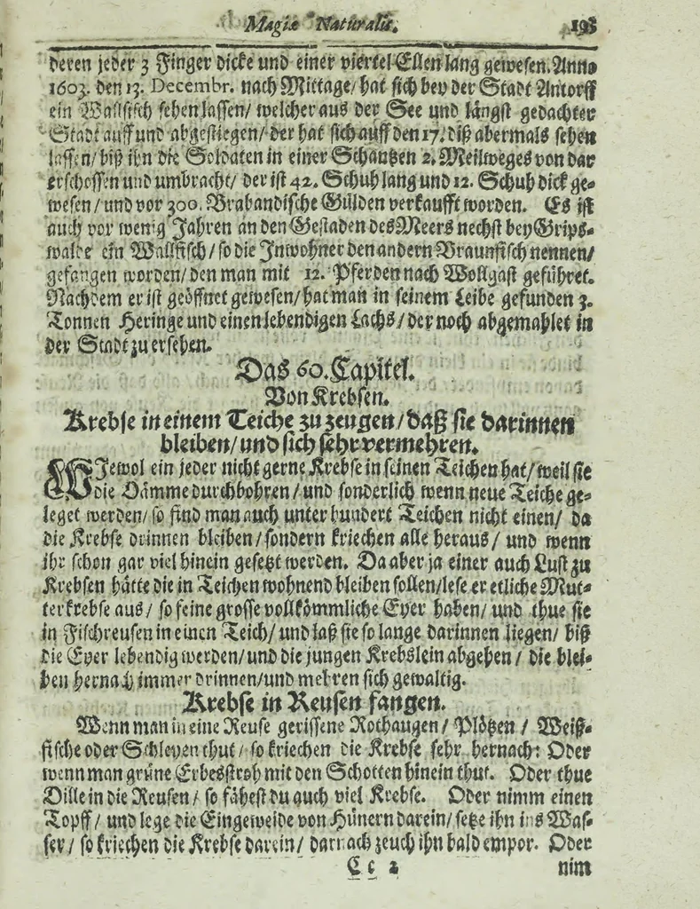 An illustration from Wolffgangi Hildebrands neu-vermehrt, vortrefflich, ausserlesen curieuses Kunst und Wunderbuch : darinnen begriffen wunderbahre Geheimnüsse und Kunststücke, wie man nemlich mit dem gantzen menschlichen Cörper zahmen und wilden Thieren, Vogeln, Fischen, Ungezieffern, allerley Gewächsen und Pflantzungen : auch sonsten fast unerhörte wunderbahrliche Sachen verrichten : auch etliche Wunder-Schrifften künstlich zu bereiten : zu löblicher und lustiger Ubung gebrauchen und die Zeit nützlich zu vertreiben, beneben Erzehlung vieler wunderlichen Dingen, so hin und wieder in der Welt gefunden werden : mit angehengter Beschreibung des Paradiess Luft-Garten und Planetenbuche, dabey eine vollkommene Beschreibung der Physiognomiae, Chiromantiae und Distillir-Kunst, 1704, leaf 211