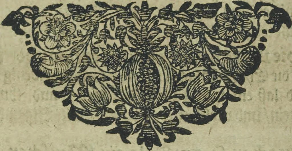 An illustration from Wolffgangi Hildebrands neu-vermehrt, vortrefflich, ausserlesen curieuses Kunst und Wunderbuch : darinnen begriffen wunderbahre Geheimnüsse und Kunststücke, wie man nemlich mit dem gantzen menschlichen Cörper zahmen und wilden Thieren, Vogeln, Fischen, Ungezieffern, allerley Gewächsen und Pflantzungen : auch sonsten fast unerhörte wunderbahrliche Sachen verrichten : auch etliche Wunder-Schrifften künstlich zu bereiten : zu löblicher und lustiger Ubung gebrauchen und die Zeit nützlich zu vertreiben, beneben Erzehlung vieler wunderlichen Dingen, so hin und wieder in der Welt gefunden werden : mit angehengter Beschreibung des Paradiess Luft-Garten und Planetenbuche, dabey eine vollkommene Beschreibung der Physiognomiae, Chiromantiae und Distillir-Kunst, 1704, leaf 280