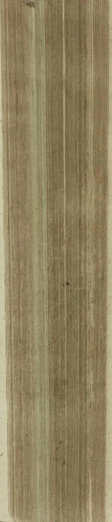 An illustration from Wolffgangi Hildebrands neu-vermehrt, vortrefflich, ausserlesen curieuses Kunst und Wunderbuch : darinnen begriffen wunderbahre Geheimnüsse und Kunststücke, wie man nemlich mit dem gantzen menschlichen Cörper zahmen und wilden Thieren, Vogeln, Fischen, Ungezieffern, allerley Gewächsen und Pflantzungen : auch sonsten fast unerhörte wunderbahrliche Sachen verrichten : auch etliche Wunder-Schrifften künstlich zu bereiten : zu löblicher und lustiger Ubung gebrauchen und die Zeit nützlich zu vertreiben, beneben Erzehlung vieler wunderlichen Dingen, so hin und wieder in der Welt gefunden werden : mit angehengter Beschreibung des Paradiess Luft-Garten und Planetenbuche, dabey eine vollkommene Beschreibung der Physiognomiae, Chiromantiae und Distillir-Kunst, 1704, leaf 572