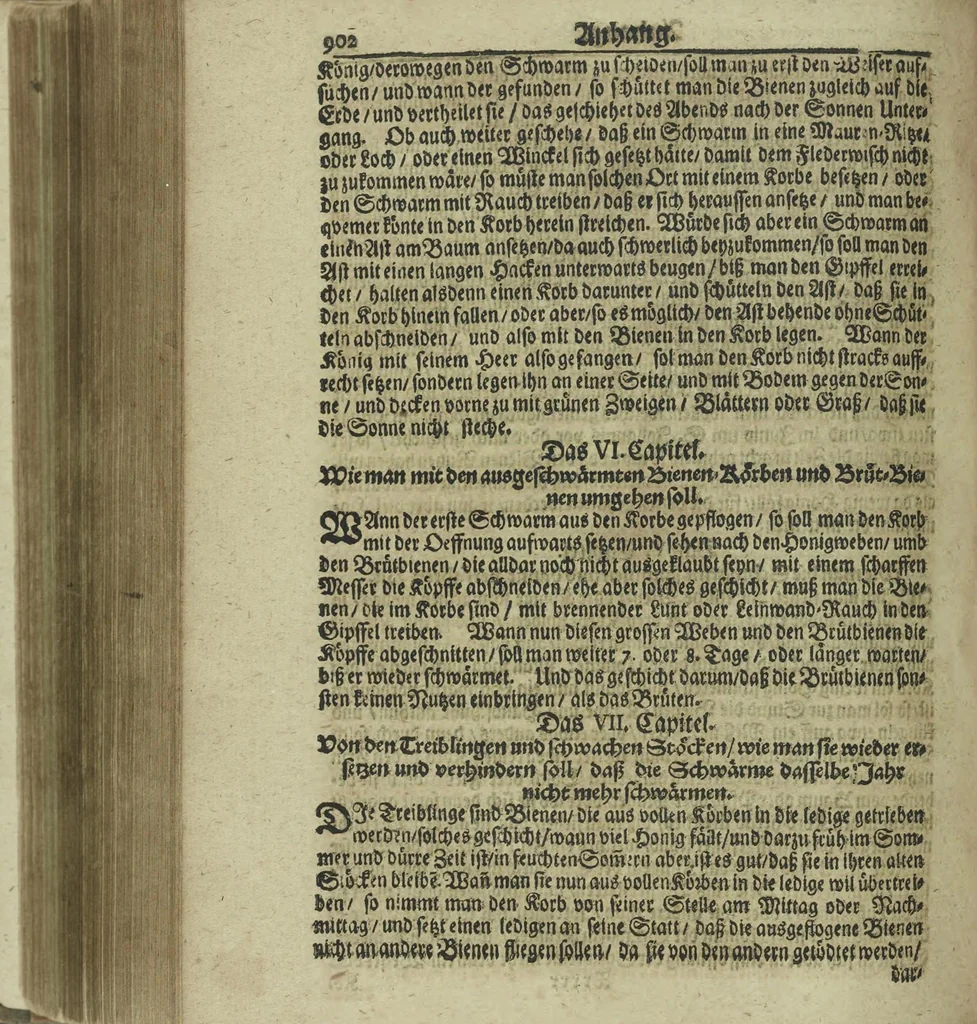 An illustration from Wolffgangi Hildebrands neu-vermehrt, vortrefflich, ausserlesen curieuses Kunst und Wunderbuch : darinnen begriffen wunderbahre Geheimnüsse und Kunststücke, wie man nemlich mit dem gantzen menschlichen Cörper zahmen und wilden Thieren, Vogeln, Fischen, Ungezieffern, allerley Gewächsen und Pflantzungen : auch sonsten fast unerhörte wunderbahrliche Sachen verrichten : auch etliche Wunder-Schrifften künstlich zu bereiten : zu löblicher und lustiger Ubung gebrauchen und die Zeit nützlich zu vertreiben, beneben Erzehlung vieler wunderlichen Dingen, so hin und wieder in der Welt gefunden werden : mit angehengter Beschreibung des Paradiess Luft-Garten und Planetenbuche, dabey eine vollkommene Beschreibung der Physiognomiae, Chiromantiae und Distillir-Kunst, 1704, leaf 926