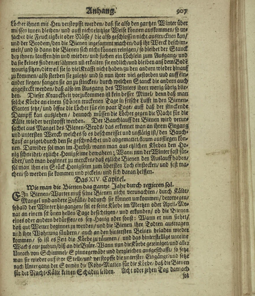 An illustration from Wolffgangi Hildebrands neu-vermehrt, vortrefflich, ausserlesen curieuses Kunst und Wunderbuch : darinnen begriffen wunderbahre Geheimnüsse und Kunststücke, wie man nemlich mit dem gantzen menschlichen Cörper zahmen und wilden Thieren, Vogeln, Fischen, Ungezieffern, allerley Gewächsen und Pflantzungen : auch sonsten fast unerhörte wunderbahrliche Sachen verrichten : auch etliche Wunder-Schrifften künstlich zu bereiten : zu löblicher und lustiger Ubung gebrauchen und die Zeit nützlich zu vertreiben, beneben Erzehlung vieler wunderlichen Dingen, so hin und wieder in der Welt gefunden werden : mit angehengter Beschreibung des Paradiess Luft-Garten und Planetenbuche, dabey eine vollkommene Beschreibung der Physiognomiae, Chiromantiae und Distillir-Kunst, 1704, leaf 931
