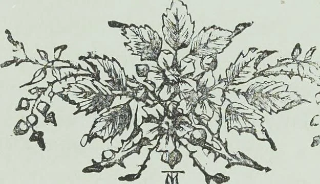 An illustration from Modern magic : a practical treatise on the art of conjuring, 1894, leaf 30
