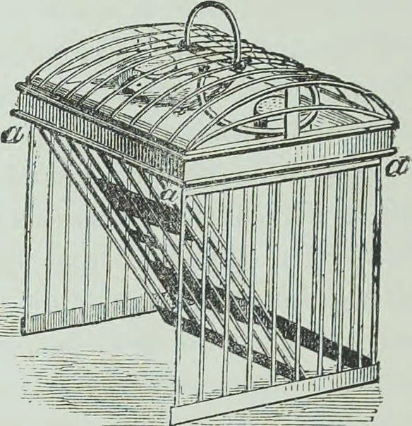 An illustration from Modern magic : a practical treatise on the art of conjuring, 1894, leaf 331