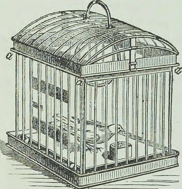 An illustration from Modern magic : a practical treatise on the art of conjuring, 1894, leaf 331