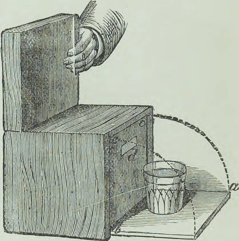An illustration from Modern magic : a practical treatise on the art of conjuring, 1894, leaf 413