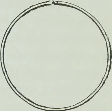 An illustration from Modern magic : a practical treatise on the art of conjuring, 1894, leaf 421