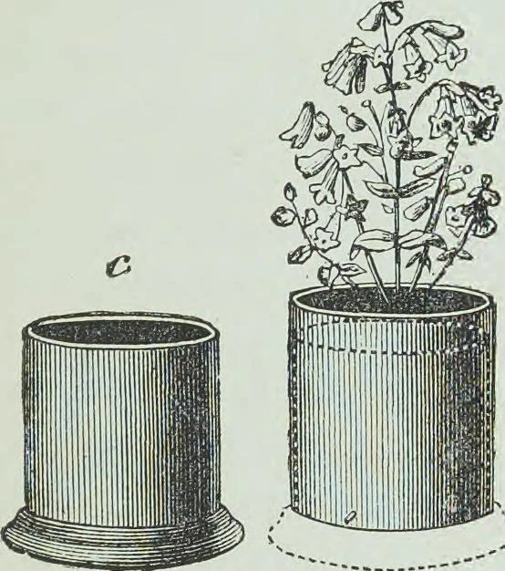 An illustration from Modern magic : a practical treatise on the art of conjuring, 1894, leaf 432