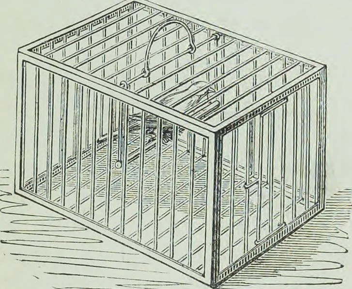 An illustration from Modern magic : a practical treatise on the art of conjuring, 1894, leaf 444