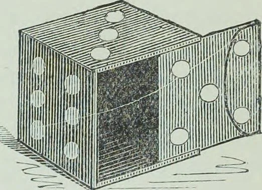 An illustration from Modern magic : a practical treatise on the art of conjuring, 1894, leaf 445