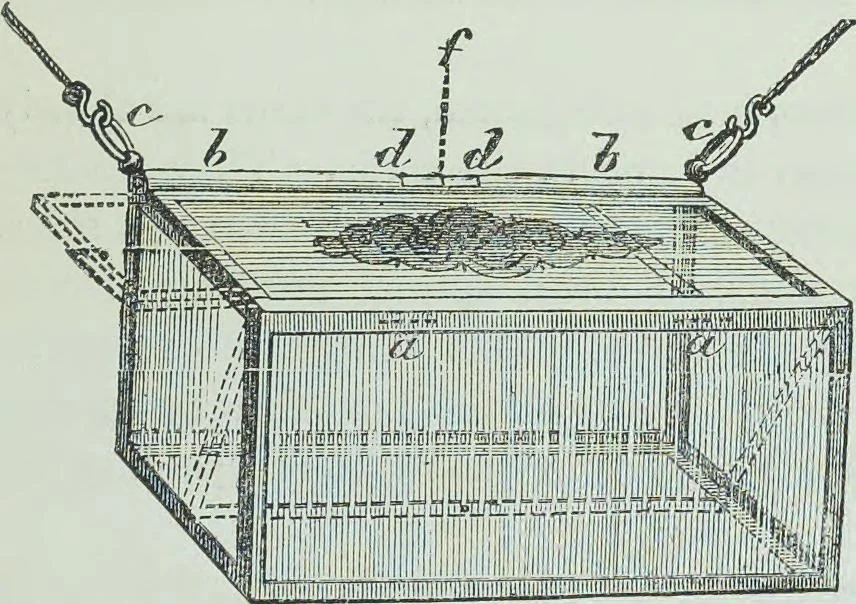 An illustration from Modern magic : a practical treatise on the art of conjuring, 1894, leaf 506