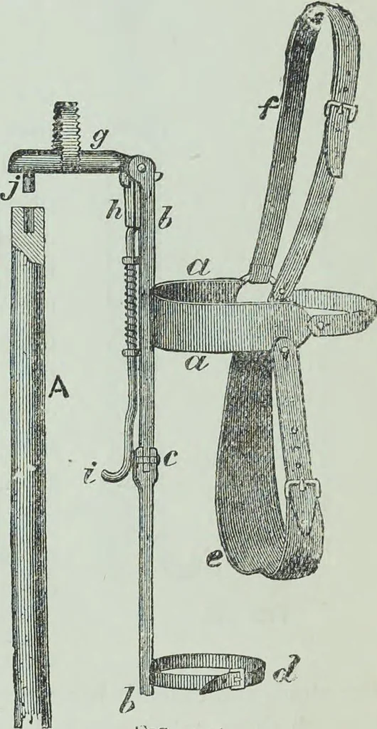 An illustration from Modern magic : a practical treatise on the art of conjuring, 1894, leaf 515