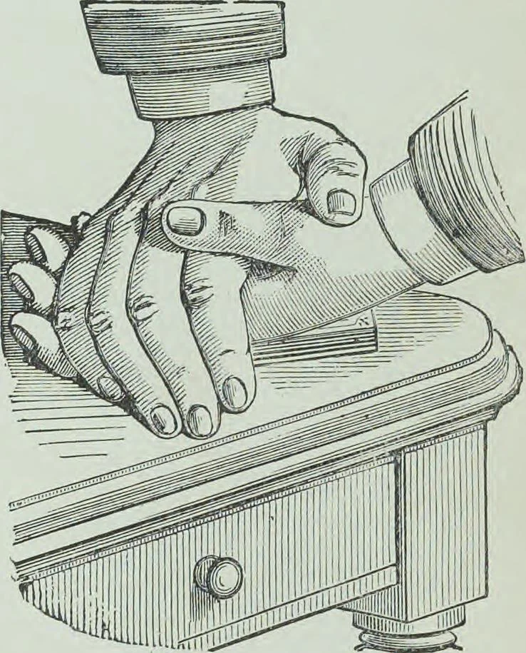 An illustration from Modern magic : a practical treatise on the art of conjuring, 1894, leaf 67