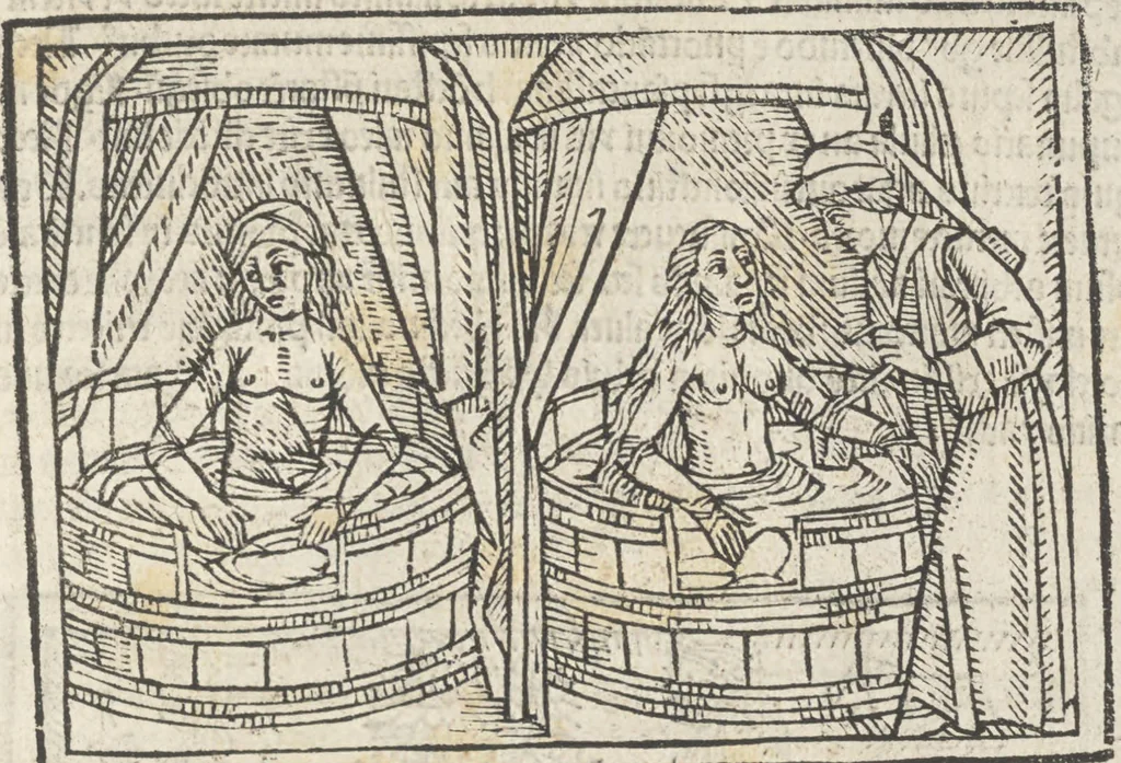 An illustration from De claris mulieribus, 1487, leaf 120