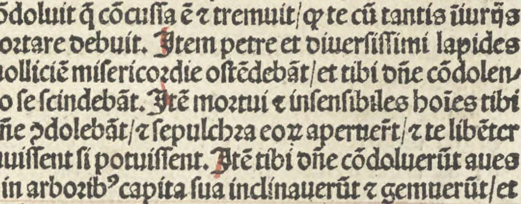 An illustration from Horologium deuotionis circa vitam Christi, 1490, leaf 100