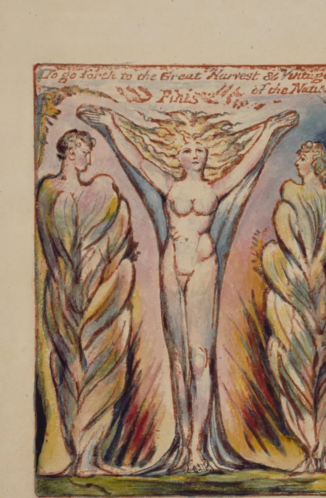 An illustration from Milton, a poem in 12 [i.e. 2] books, 1815, leaf 50
