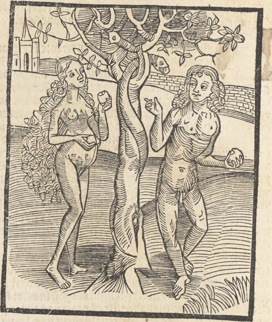 An illustration from De reuelatione facta ab angelo beato Methodio in carcere dete[n]to, 1498, leaf 11
