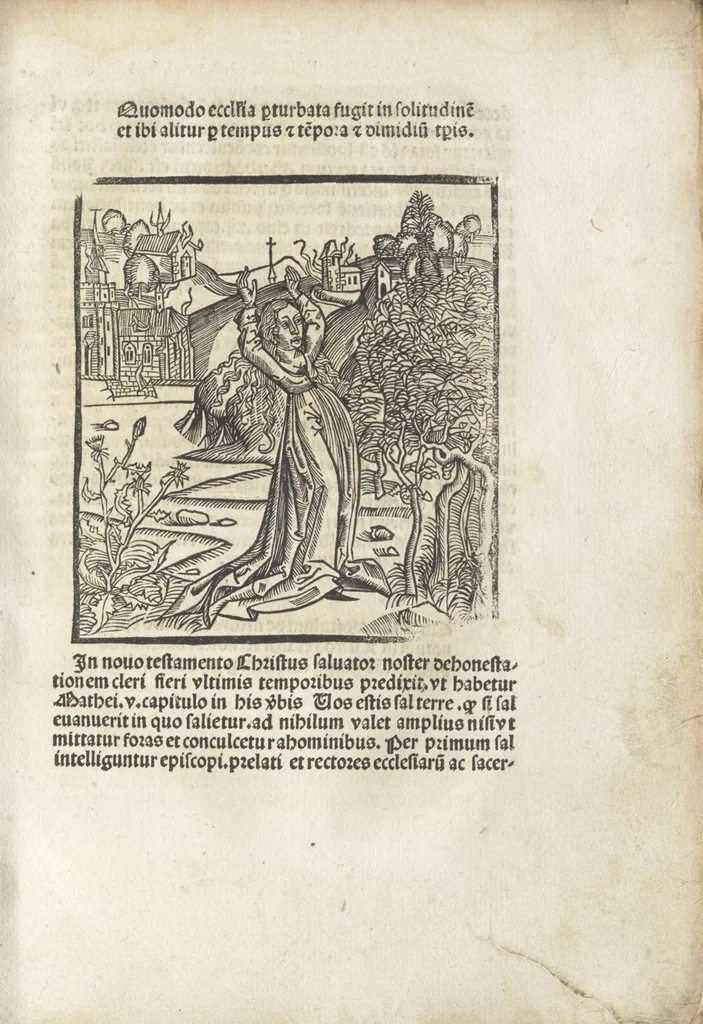 An illustration from De reuelatione facta ab angelo beato Methodio in carcere dete[n]to, 1498, leaf 110