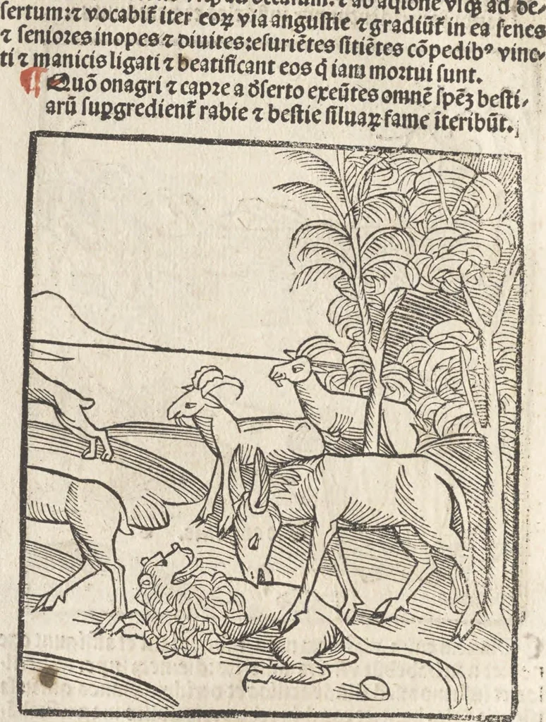 An illustration from De reuelatione facta ab angelo beato Methodio in carcere dete[n]to, 1498, leaf 43
