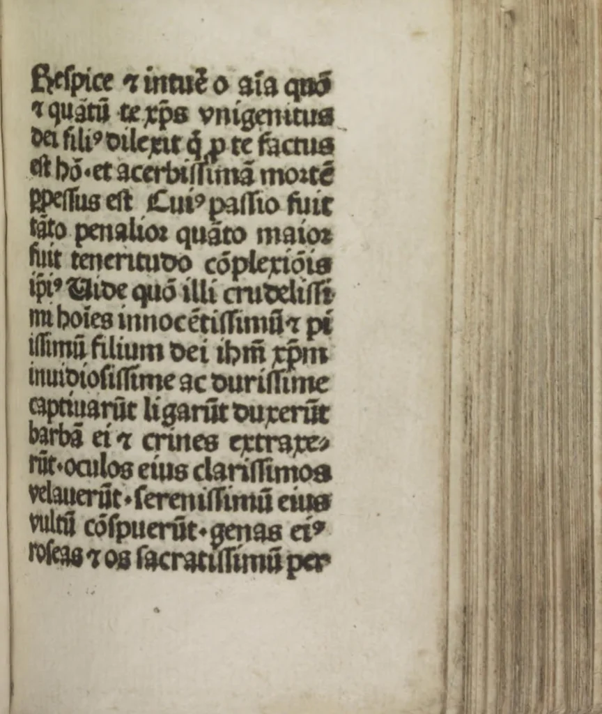 An illustration from Meditatio[ne]s Iordani de vita et passio[n]e Ih[es]u [Christ]i, 1500, leaf 172