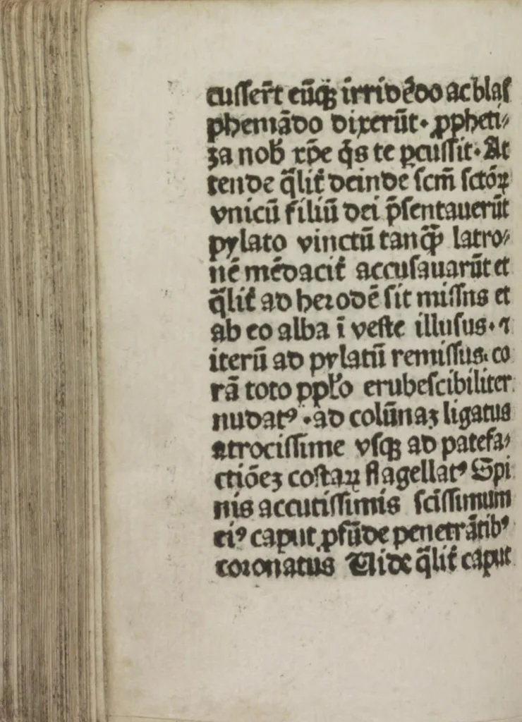 An illustration from Meditatio[ne]s Iordani de vita et passio[n]e Ih[es]u [Christ]i, 1500, leaf 173
