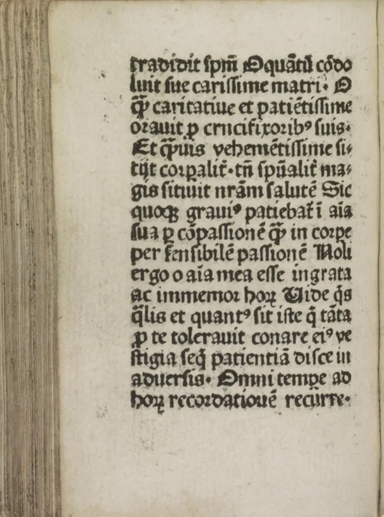 An illustration from Meditatio[ne]s Iordani de vita et passio[n]e Ih[es]u [Christ]i, 1500, leaf 177