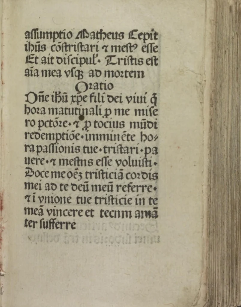 An illustration from Meditatio[ne]s Iordani de vita et passio[n]e Ih[es]u [Christ]i, 1500, leaf 18