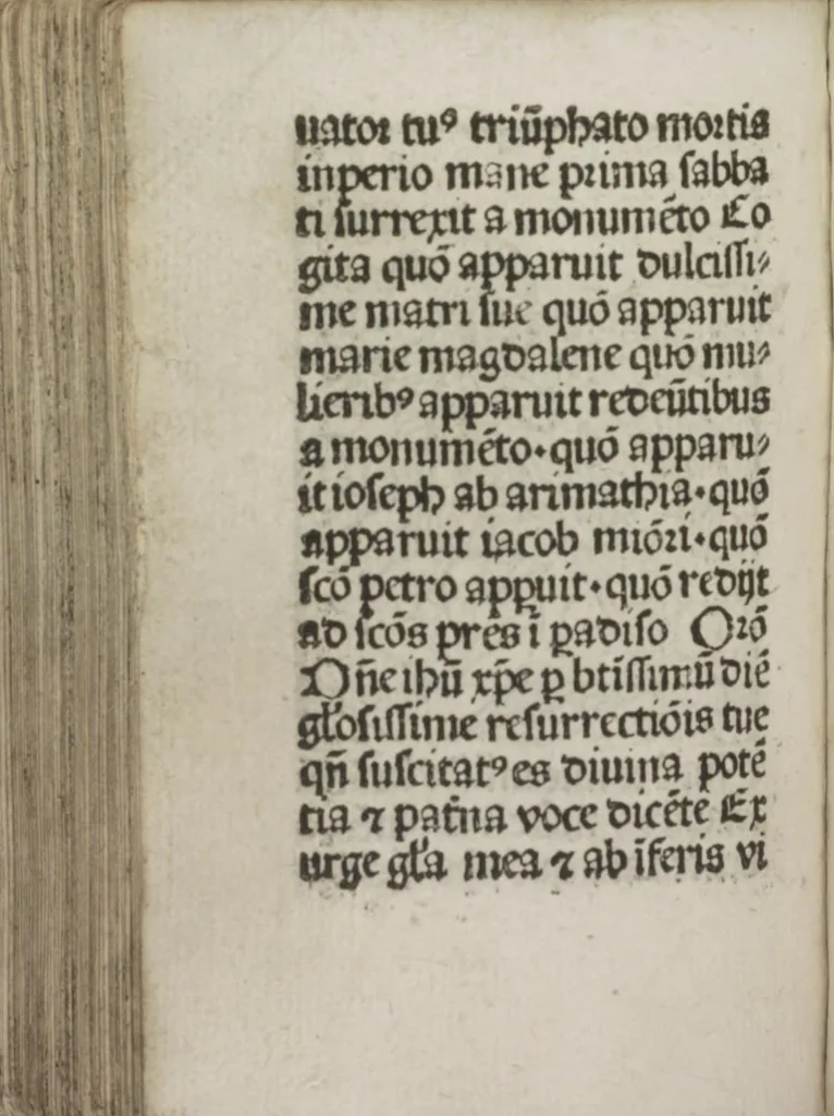 An illustration from Meditatio[ne]s Iordani de vita et passio[n]e Ih[es]u [Christ]i, 1500, leaf 197
