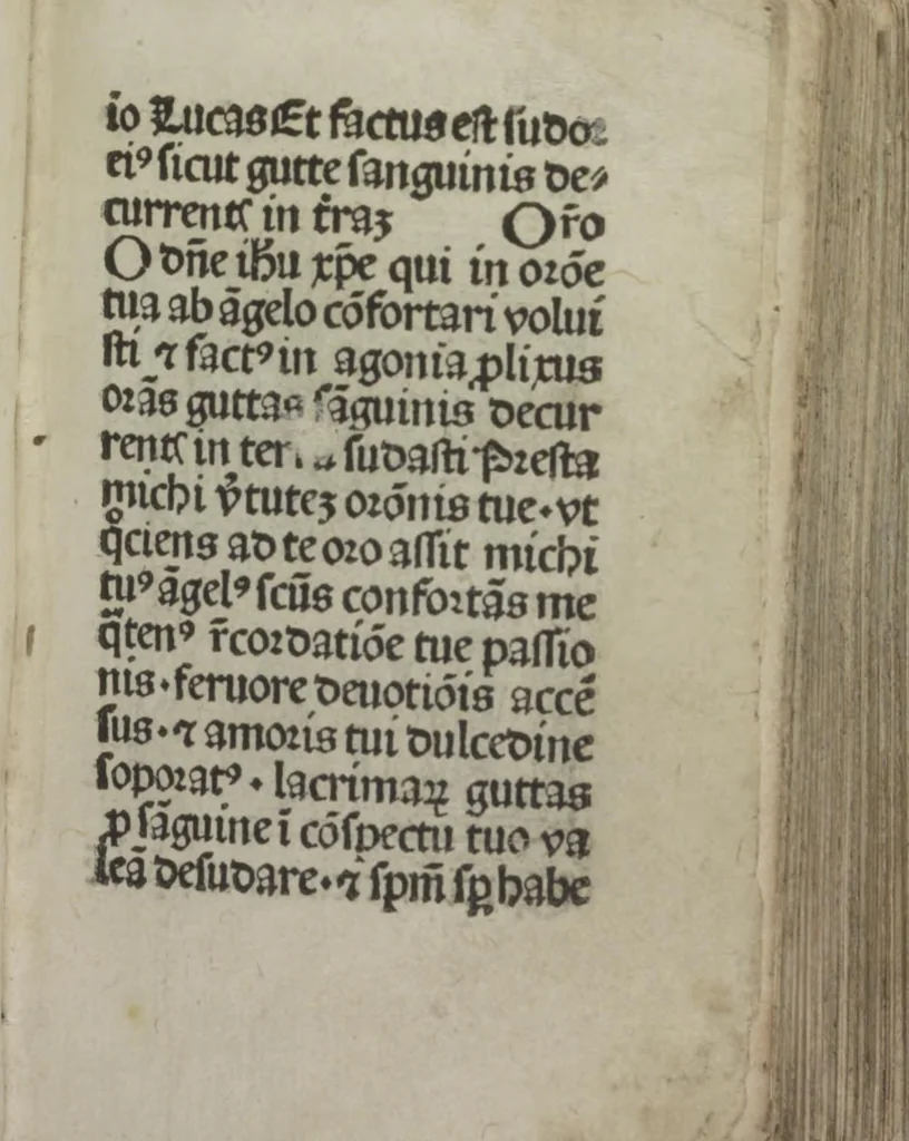An illustration from Meditatio[ne]s Iordani de vita et passio[n]e Ih[es]u [Christ]i, 1500, leaf 20