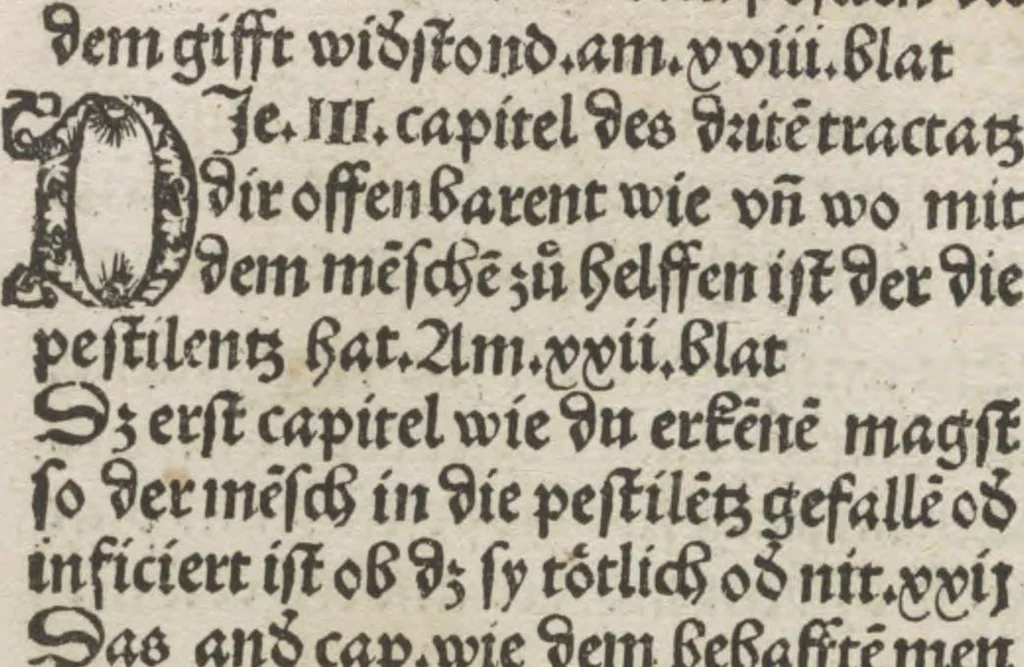 An illustration from Liber pestilentialis de venenis epidimie: Das Buch der Vergift der Pestile[n]tz das da gena[n]t ist der gemein Sterbent der trüsen Blatren,, 1500, leaf 12