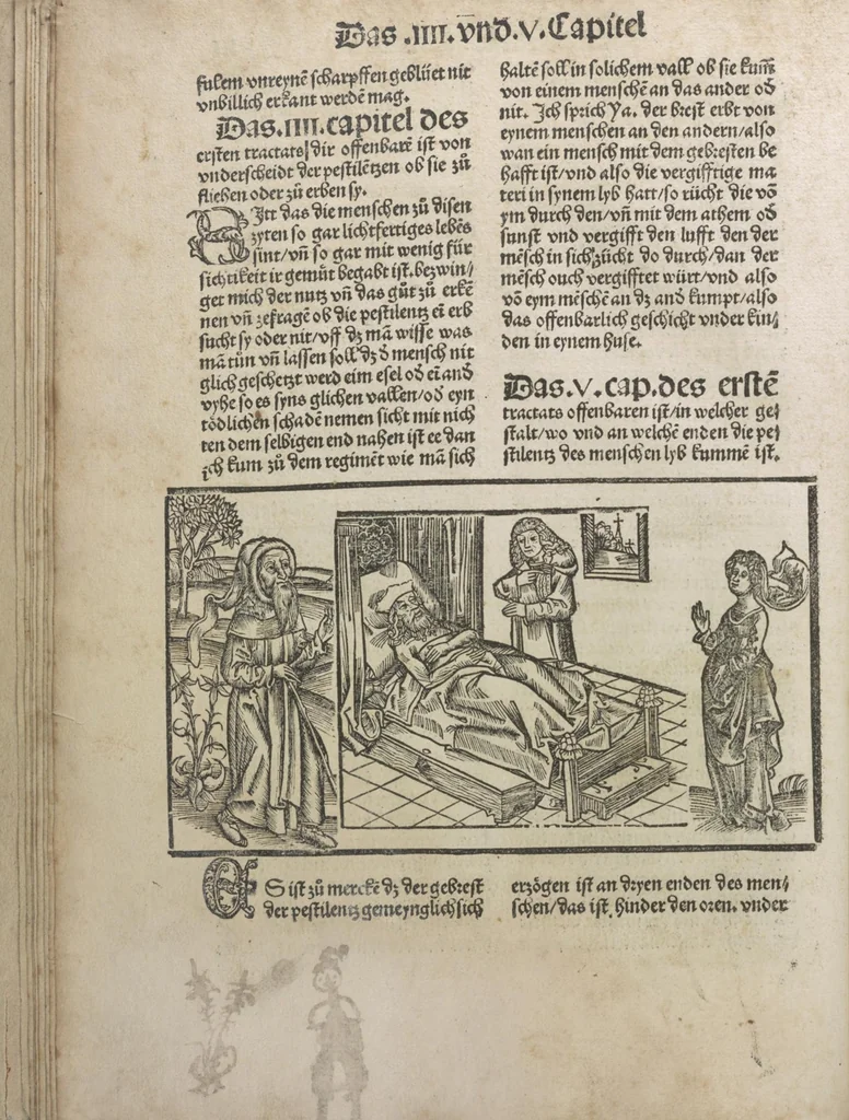 An illustration from Liber pestilentialis de venenis epidimie: Das Buch der Vergift der Pestile[n]tz das da gena[n]t ist der gemein Sterbent der trüsen Blatren,, 1500, leaf 19