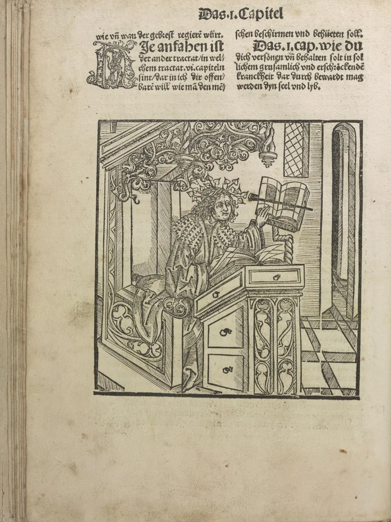 An illustration from Liber pestilentialis de venenis epidimie: Das Buch der Vergift der Pestile[n]tz das da gena[n]t ist der gemein Sterbent der trüsen Blatren,, 1500, leaf 21