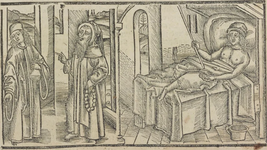 An illustration from Liber pestilentialis de venenis epidimie: Das Buch der Vergift der Pestile[n]tz das da gena[n]t ist der gemein Sterbent der trüsen Blatren,, 1500, leaf 24