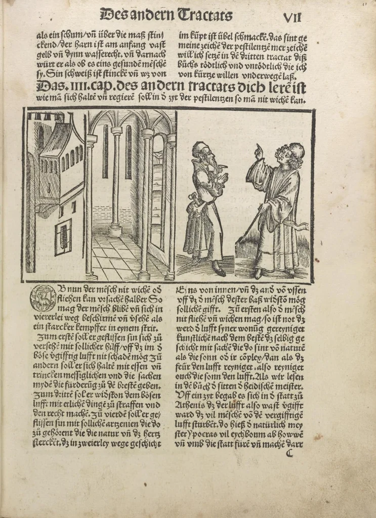 An illustration from Liber pestilentialis de venenis epidimie: Das Buch der Vergift der Pestile[n]tz das da gena[n]t ist der gemein Sterbent der trüsen Blatren,, 1500, leaf 26
