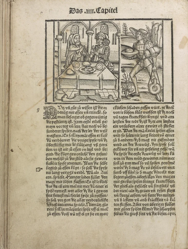 An illustration from Liber pestilentialis de venenis epidimie: Das Buch der Vergift der Pestile[n]tz das da gena[n]t ist der gemein Sterbent der trüsen Blatren,, 1500, leaf 29