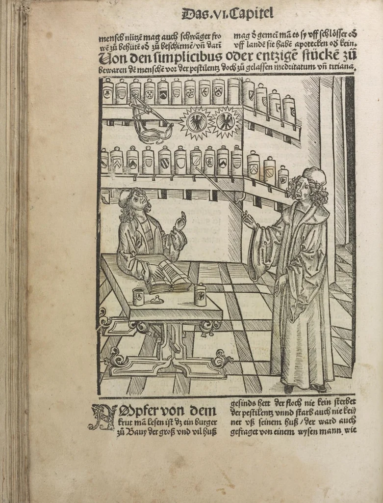 An illustration from Liber pestilentialis de venenis epidimie: Das Buch der Vergift der Pestile[n]tz das da gena[n]t ist der gemein Sterbent der trüsen Blatren,, 1500, leaf 45