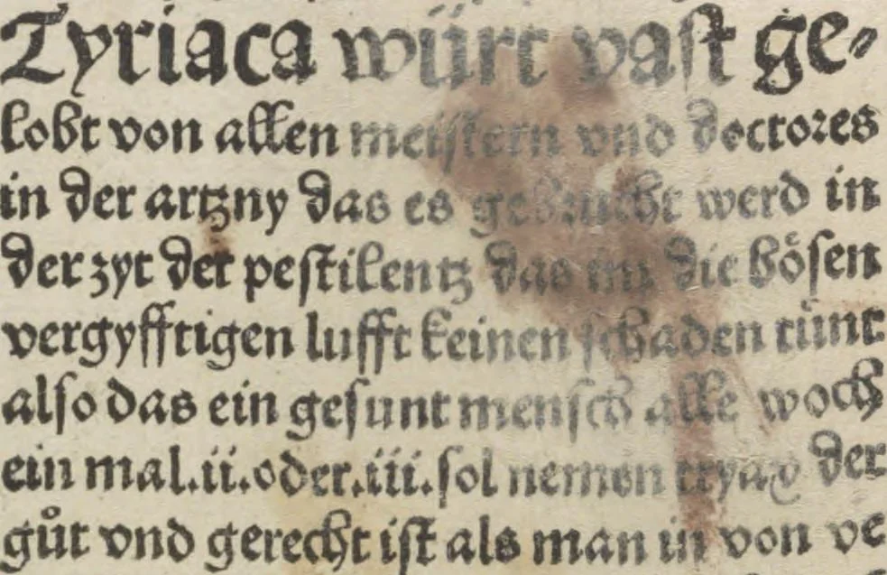 An illustration from Liber pestilentialis de venenis epidimie: Das Buch der Vergift der Pestile[n]tz das da gena[n]t ist der gemein Sterbent der trüsen Blatren,, 1500, leaf 48
