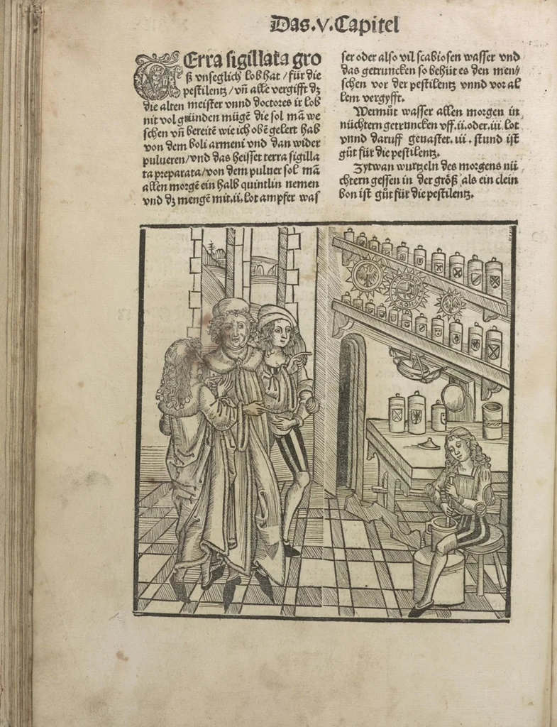 An illustration from Liber pestilentialis de venenis epidimie: Das Buch der Vergift der Pestile[n]tz das da gena[n]t ist der gemein Sterbent der trüsen Blatren,, 1500, leaf 49