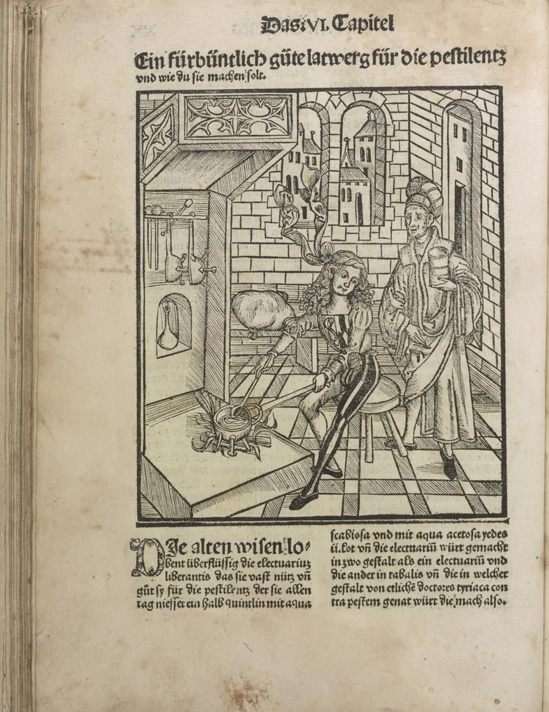 An illustration from Liber pestilentialis de venenis epidimie: Das Buch der Vergift der Pestile[n]tz das da gena[n]t ist der gemein Sterbent der trüsen Blatren,, 1500, leaf 53