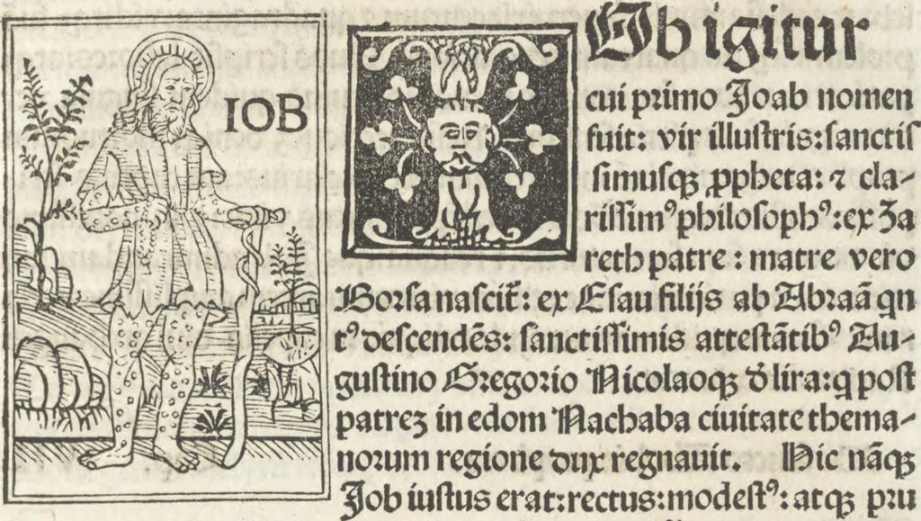 An illustration from Iacobi Gualle iureconsulti Papie sanctuarium, 1505, leaf 102