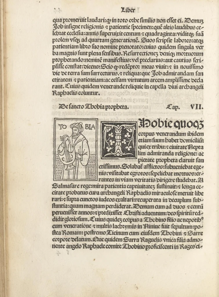 An illustration from Iacobi Gualle iureconsulti Papie sanctuarium, 1505, leaf 103