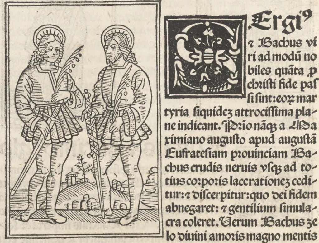 An illustration from Iacobi Gualle iureconsulti Papie sanctuarium, 1505, leaf 143