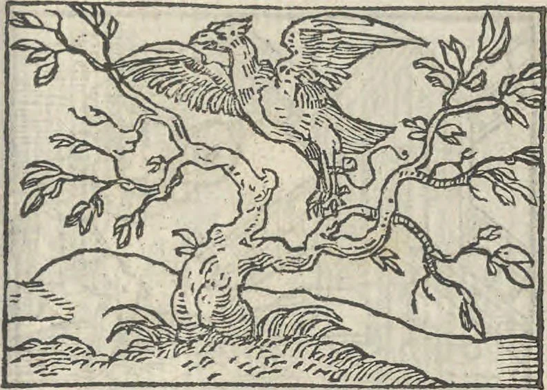 An illustration from Le theatre des bons engins, auquel sont contenuz cent emblemes moraulx, 1546, leaf 100