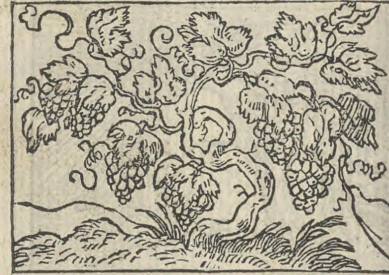 An illustration from Le theatre des bons engins, auquel sont contenuz cent emblemes moraulx, 1546, leaf 103