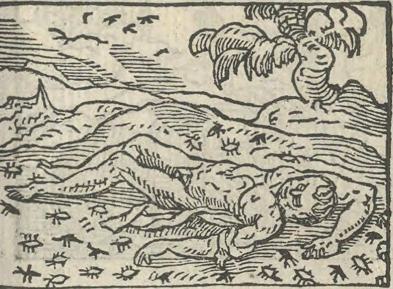 An illustration from Le theatre des bons engins, auquel sont contenuz cent emblemes moraulx, 1546, leaf 110
