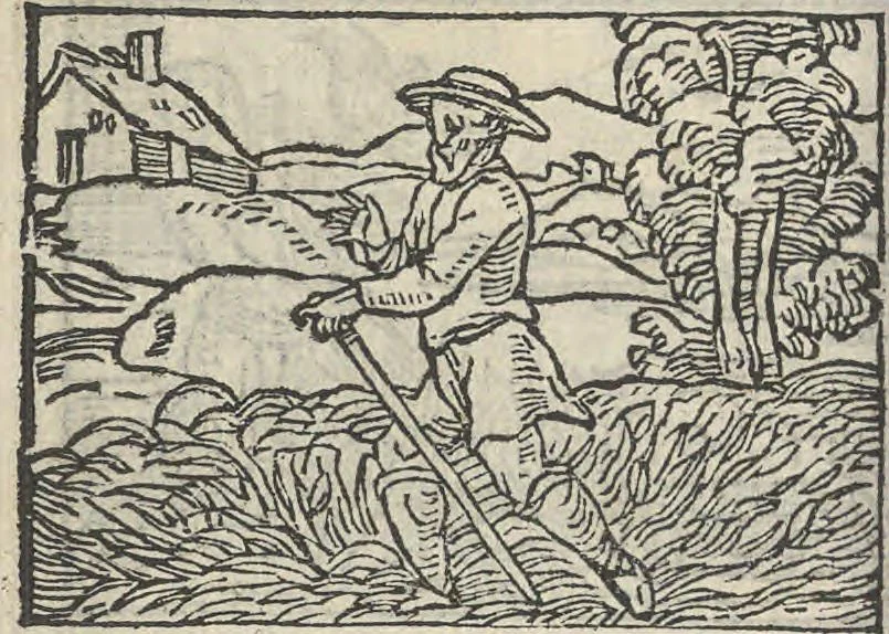 An illustration from Le theatre des bons engins, auquel sont contenuz cent emblemes moraulx, 1546, leaf 113