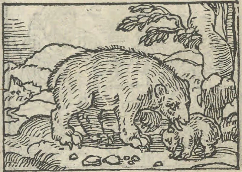 An illustration from Le theatre des bons engins, auquel sont contenuz cent emblemes moraulx, 1546, leaf 114