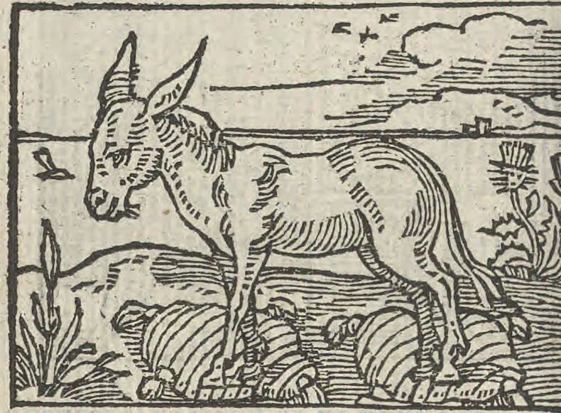 An illustration from Le theatre des bons engins, auquel sont contenuz cent emblemes moraulx, 1546, leaf 29