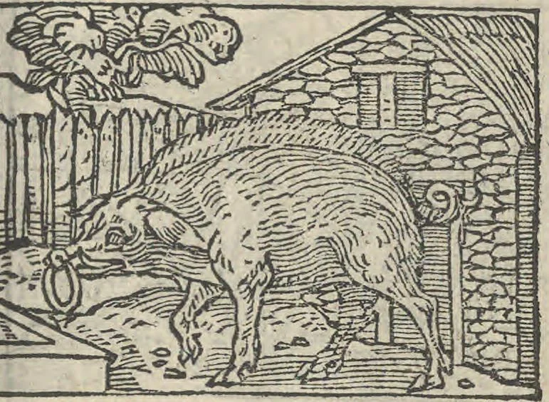 An illustration from Le theatre des bons engins, auquel sont contenuz cent emblemes moraulx, 1546, leaf 40