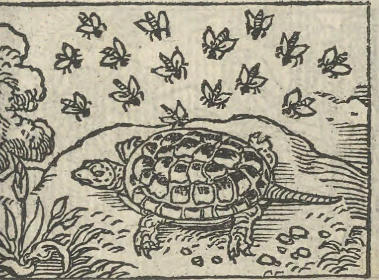 An illustration from Le theatre des bons engins, auquel sont contenuz cent emblemes moraulx, 1546, leaf 44